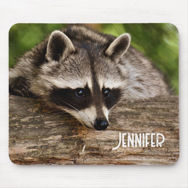 Cute Raccoon Resten på en logg Musmatta (Framsidan)