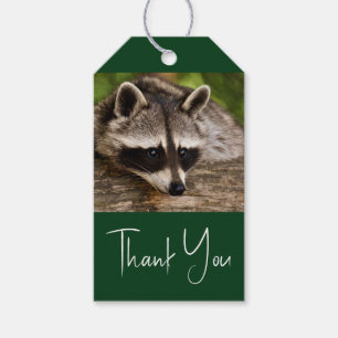 Cute Raccoon Resten på en logg Presentetikett