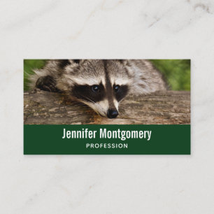 Cute Raccoon Resten på en logg Visitkort