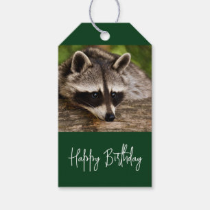 Cute Raccoon Resten på en loggfödelsedag Presentetikett