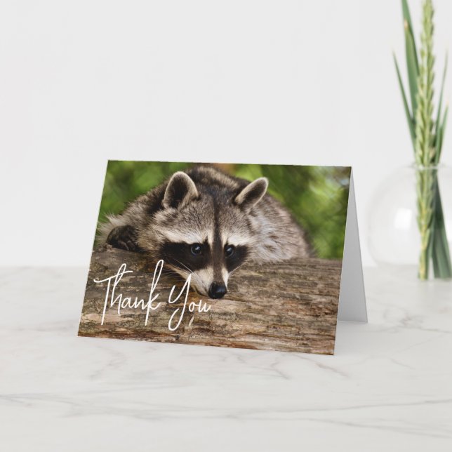 Cute Raccoon Resten på en Tack Kort (Framsida)