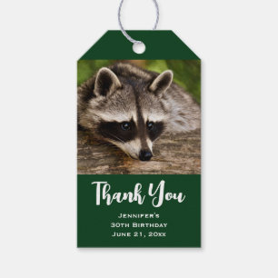 Cute Raccoon Resten på en Tack Presentetikett