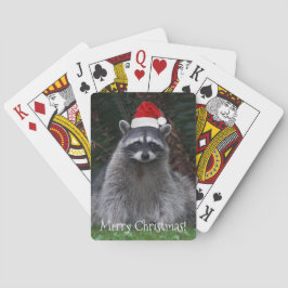 Cute Raccoon Wearing Red Santa Hat Casinokort