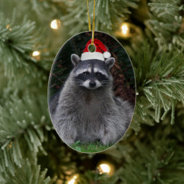 Cute Raccoon Wearing Red Santa Hat Helgdag Julgransprydnad Keramik