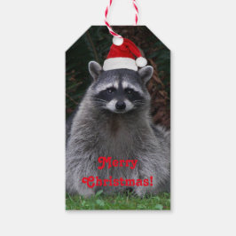 Cute Raccoon Wearing Red Santa Hat Helgdag Presentetikett