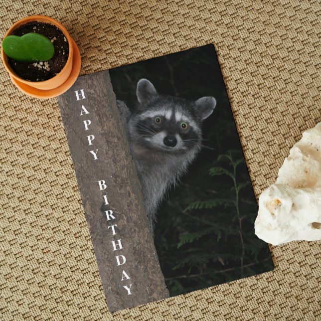 Cute Raccoon Wildlife Photo Birthday Kort (In Situ)