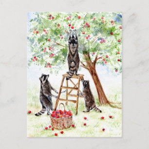 Cute Raccoons in Apple Orchard Vykort