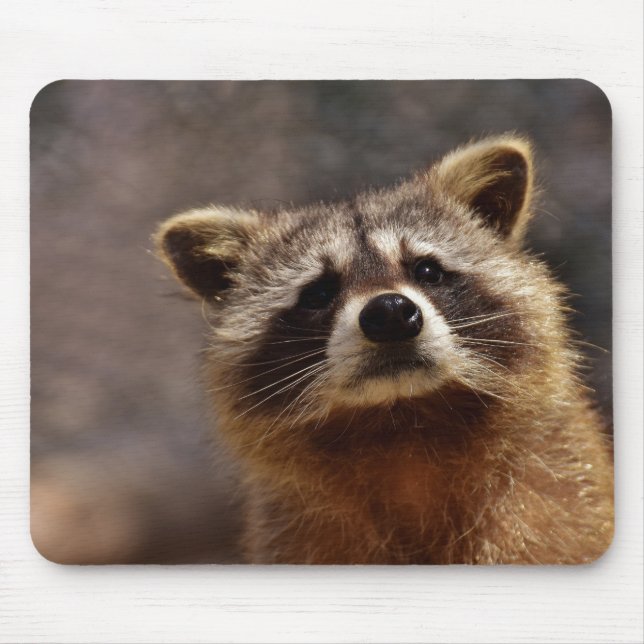 Cute Racoon Musmatta (Framsidan)