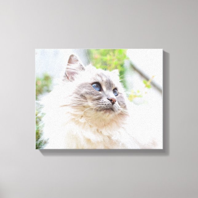 Cute Ragdoll Cat Canvas (Framsida)