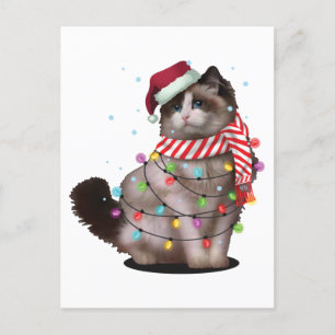 Cute Ragdoll Cat Lover Funny Julafton Helgdag Gift Vykort