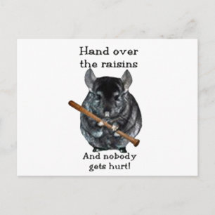 Cute Raisin Elak Chinchilla Vykort