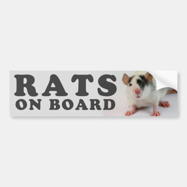 (Cute) Rats on board Bildekal (Framsidan)