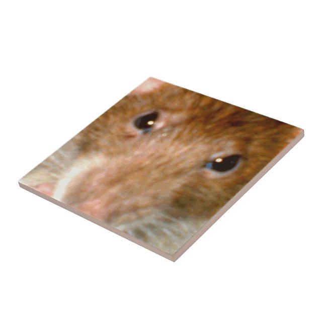 Cute Råtta Ansikte Tile Kakelplatta (Sidan)
