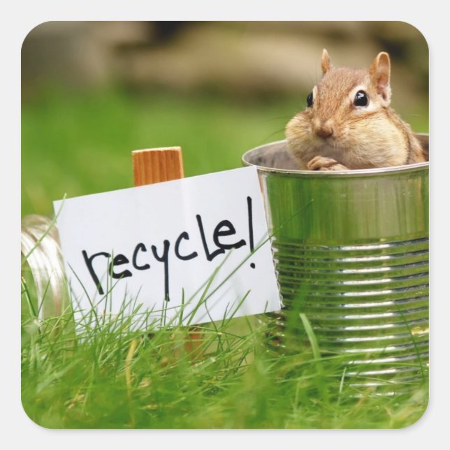 Cute Recycling Chipmunk Fyrkantigt Klistermärke (Framsida)