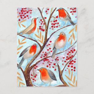 Cute red & blue Robin-fåglar i träd med bär Helg Vykort