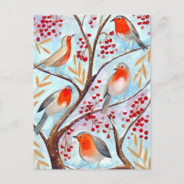 Cute red & blue Robin-fåglar i träd med bär Helg Vykort