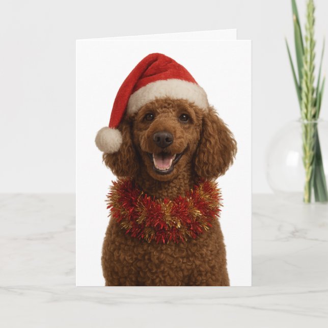 Cute red / brown Poodle Christmas card Kort (Framsida)