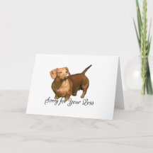 Cute Red Dachshund Förlåt för förlustkondoleanser
