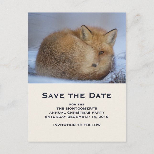 Cute Red Fox Curted Up Winter Photo Save Date Inbjudan Vykort (Framsida)