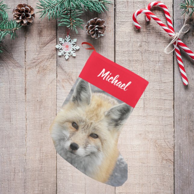 Cute Red Fox Photo med Namn Liten Julstrumpa (In Situ)