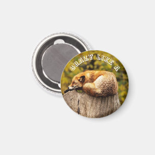 Cute Red Fox Resten på Träd-stump Magnet
