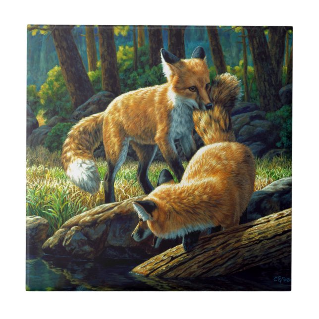 Cute Red Fox-Valper spelas upp Kakelplatta (Framsidan)