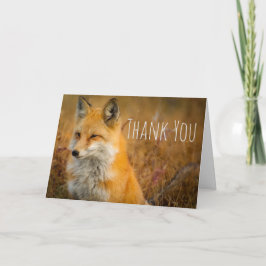 Cute Red Fox Vild Natature Photography Tack Kort