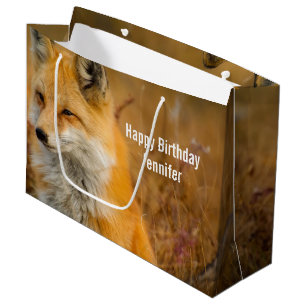 Cute Red Fox Vild Natur Fotography Birthday