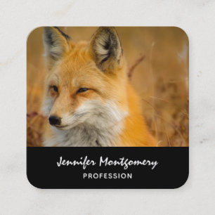Cute Red Fox Wilderness Nature Fotography Square Fyrkantigt Visitkort