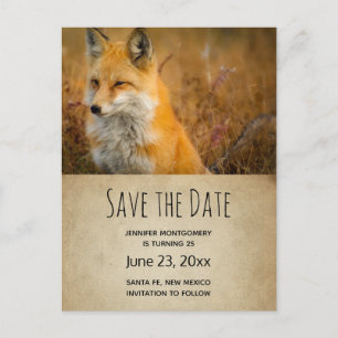 Cute Red Fox Wilderness Nature Photo Save Date Inbjudan Vykort