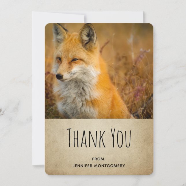 Cute Red Fox Wilderness Nature Photo Tack (Framsida)