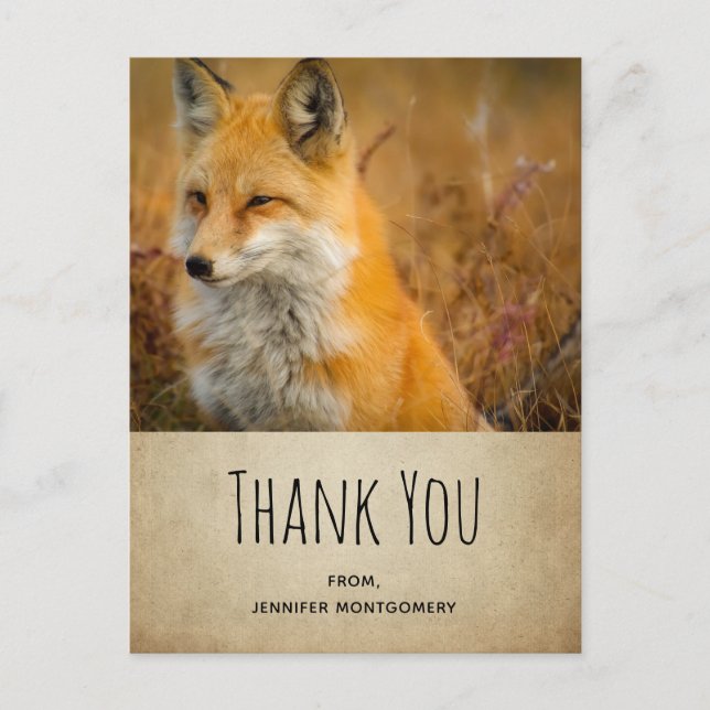 Cute Red Fox Wilderness Nature Photo Tack Vykort (Framsida)