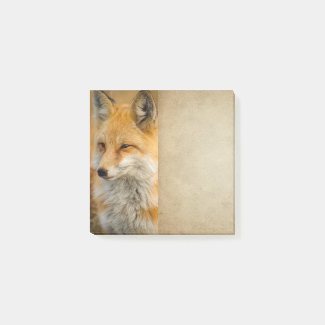 Cute Red Fox Wilderness Nature Photography Post it Post-it Block (Framsida)