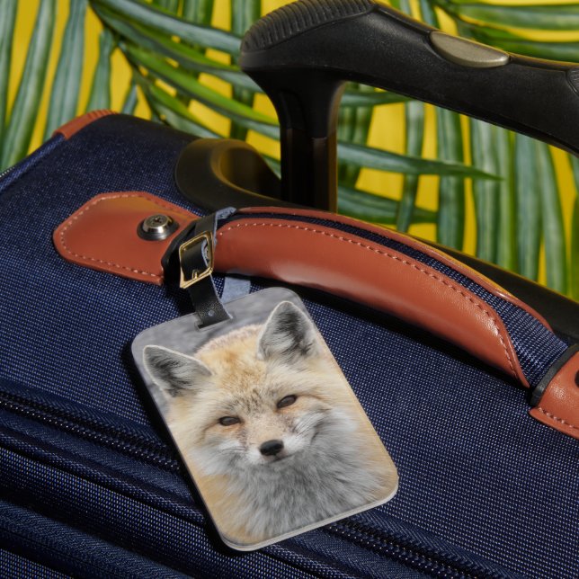 Cute Red Fox Wildlife Photo Bagagebricka (Framsida Insitu 1)