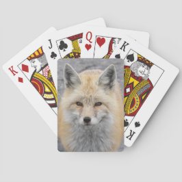 Cute Red Fox Wildlife Photo Kortlek