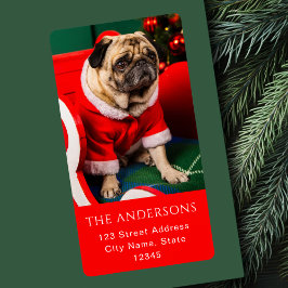 Cute Red & Grönt Peppy Hund Photo Älskare Pawliday Fraktsedel