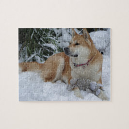 Cute red japanese akita i snö med grått mus pussel