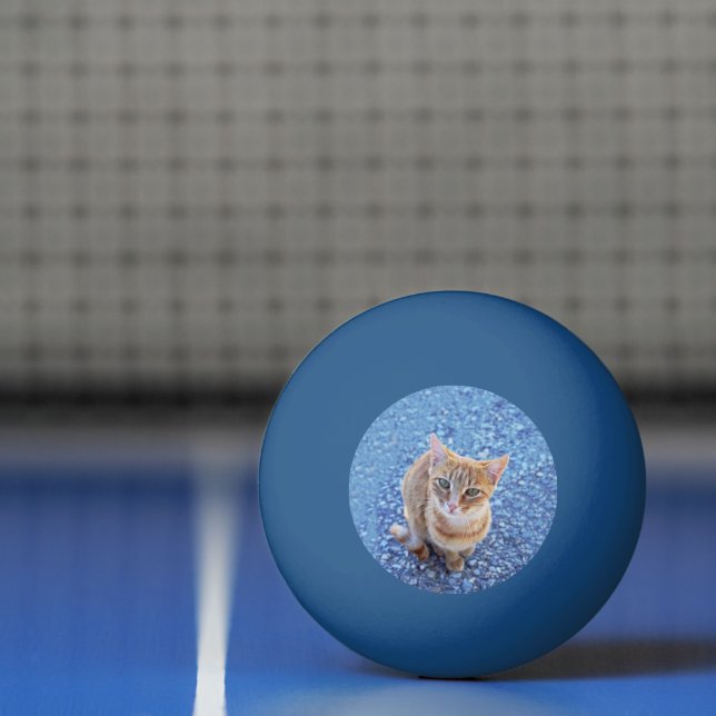 Cute red kitten pingisboll (Netto)