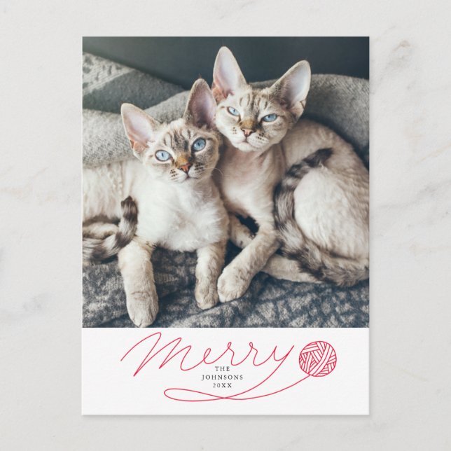 Cute Red Merry Script med jarn Boll Cat Photo Helg Vykort (Framsida)
