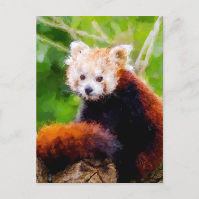 Cute Red Panda Animal Hand, målat Vykort (Framsida)