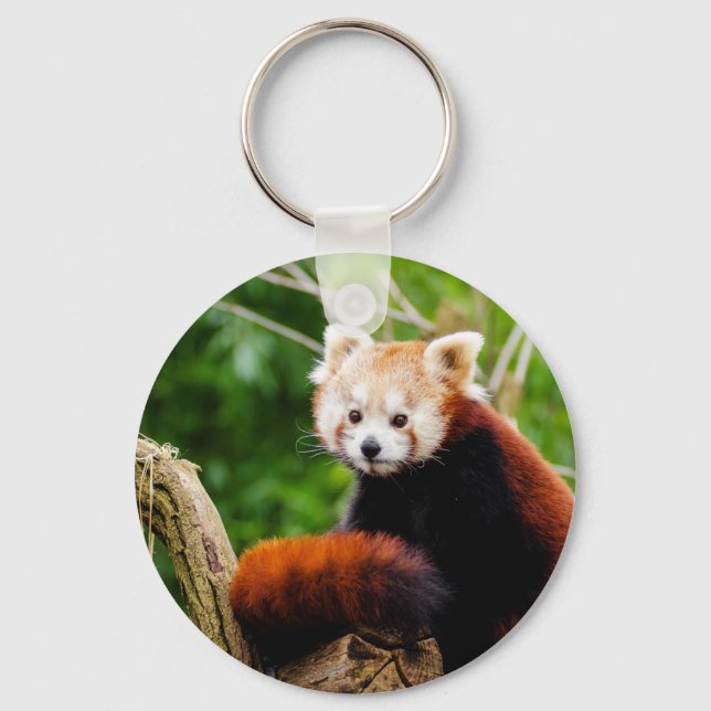 Cute Red Panda Bear Nyckelring (Framsida)