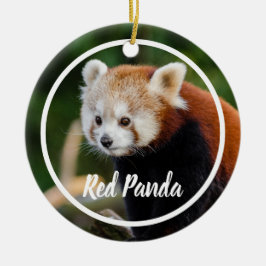 Cute Red Panda Frame Julgransprydnad Keramik