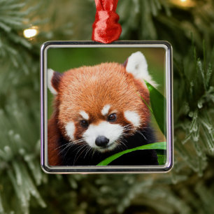 Cute Red Panda Julgransprydnad Metall