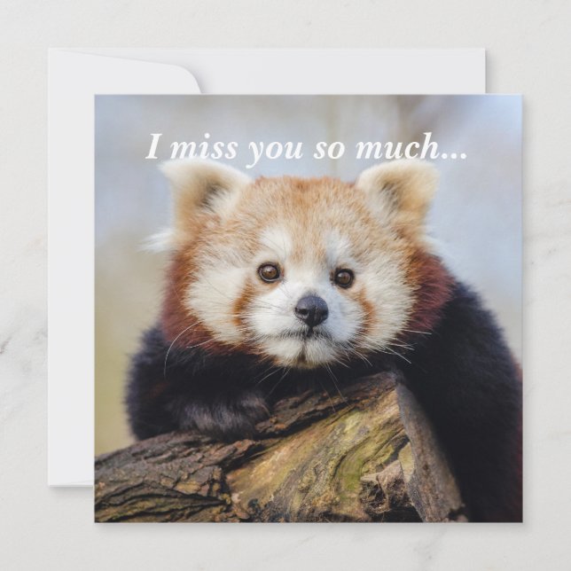 Cute Red Panda Miss You så mycket (Framsida)