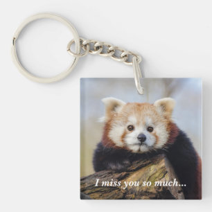 Cute Red Panda Miss You så mycket