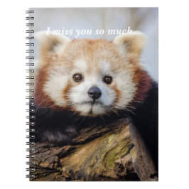 Cute Red Panda Miss You så mycket Anteckningsbok