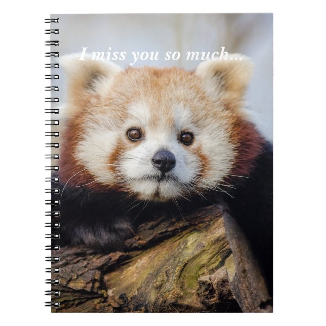 Cute Red Panda Miss You så mycket Anteckningsbok (Framsidan)