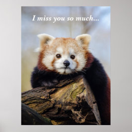 Cute Red Panda Miss You så mycket Poster