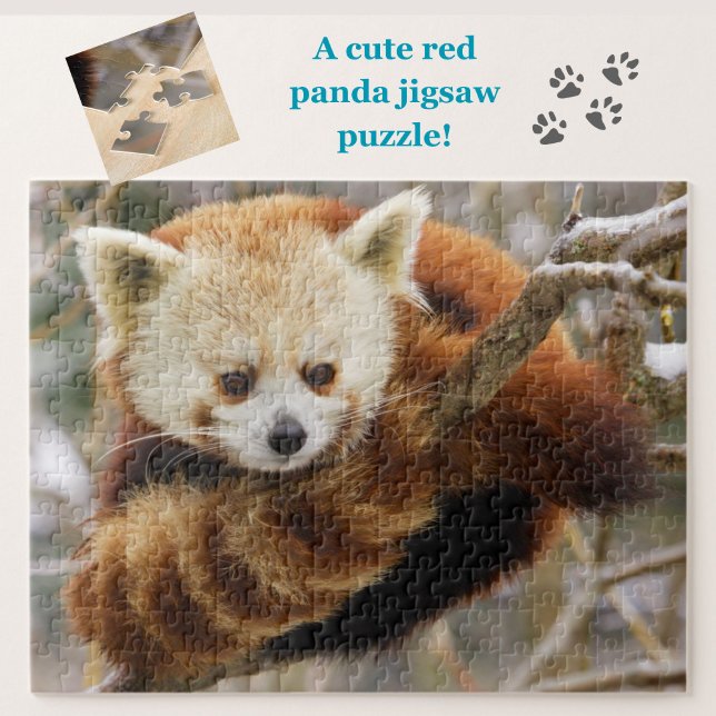 Cute Red Panda på Snowy Träd Jigszle Puzzle Pussel (A cute red panda jigsaw puzzle, great for animal lovers!)