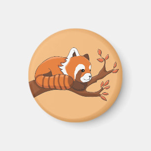 Cute Red Panda Resting in Träd Keychain Magnet